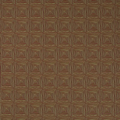 Robert Allen Fritch Orchid