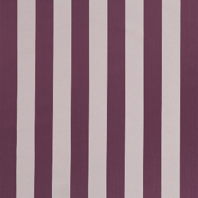 Robert Allen Commotion Beet