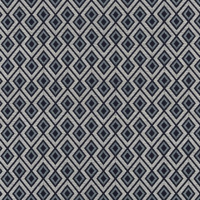 Robert Allen Purton Pike Batik Blue