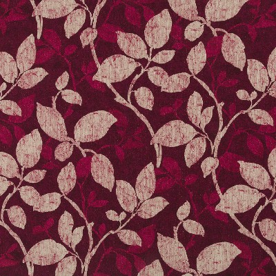 Robert Allen Awesome View Beet