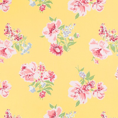 Robert Allen Isleboro Eve Daffodil