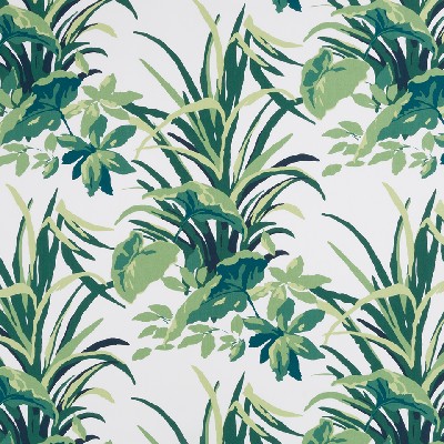 Robert Allen Bermuda Bay Palm