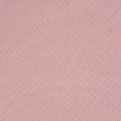 Robert Allen Beach Club Bk Rhubarb