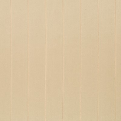 Robert Allen Omni Stripe Sandstone