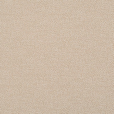 Robert Allen Flicker Bk Sand