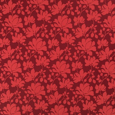 Robert Allen Lavinham Cassis