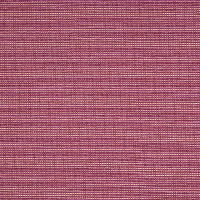 Robert Allen Mirror Line Orchid