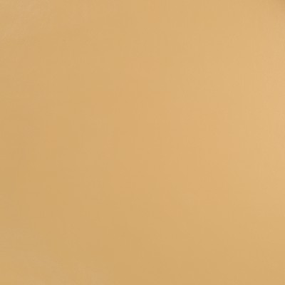 Robert Allen Neo Leather Sandstone