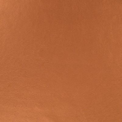 Robert Allen Metallic Skin Copper