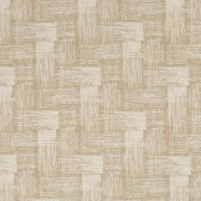 Robert Allen Etched Texture Stardust