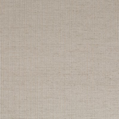 Robert Allen Palette Lines Jasper