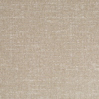 Robert Allen Texture Field Abalone