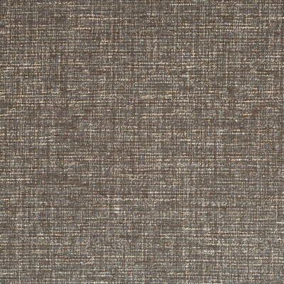 Robert Allen Texture Field Jasper