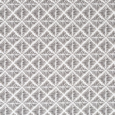 Robert Allen Gem Field Birch