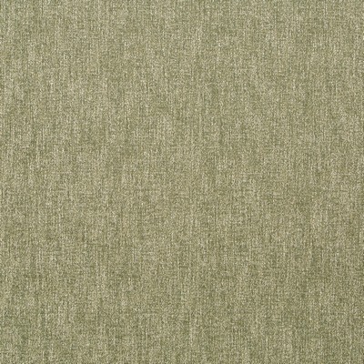 Robert Allen Tonal Chenille Moss