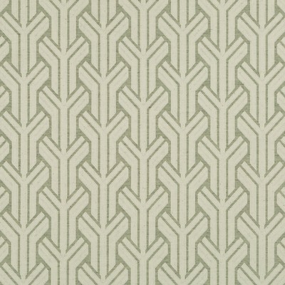 Robert Allen Dart Over Moss