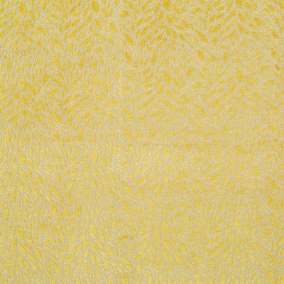 Robert Allen Falling Petals Citrus