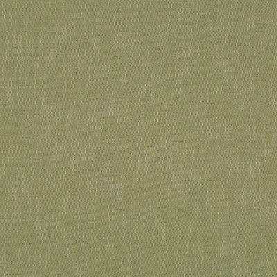 Robert Allen Forever Linen Moss