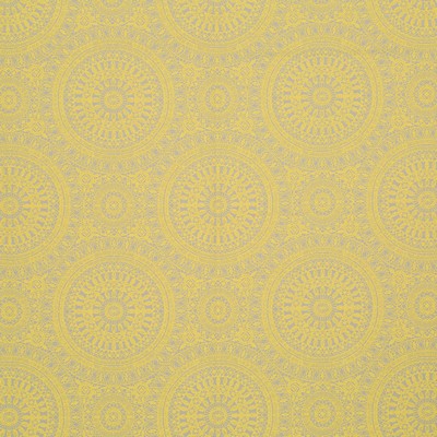 Robert Allen Space Oddity Citrus