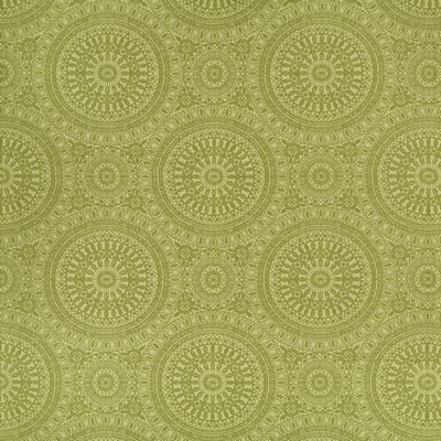 Robert Allen Space Oddity Aloe