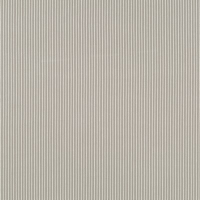 Robert Allen Menara Stripe Cement