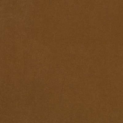 Robert Allen Ode Amber