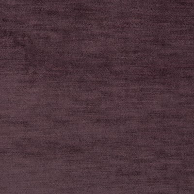 Robert Allen Verismo Grape