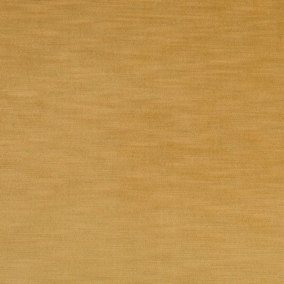 Robert Allen Verismo Honey