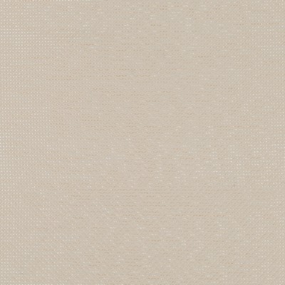 Robert Allen FLEET CHAMPAGNE