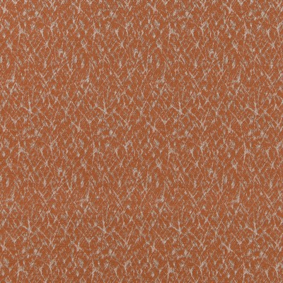 Robert Allen MICROCOSM AUBURN