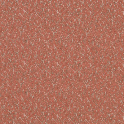 Robert Allen MICROCOSM SALMON