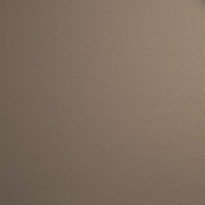 Robert Allen Stegosaurus Latte