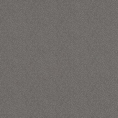 Robert Allen LANDING GRAPHITE