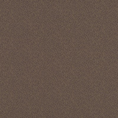 Robert Allen LANDING MOCHA