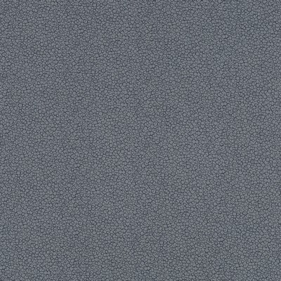 Robert Allen LANDING MOONSTONE