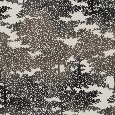 Robert Allen PIEROWOOD GRAPHITE