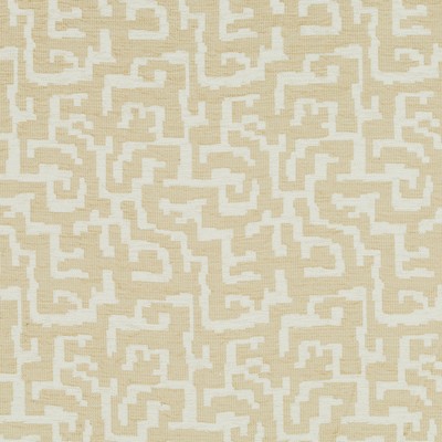 Robert Allen CHENILLE MAZE BRASS