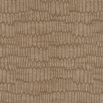 Robert Allen PEAKS N POINTS TEA