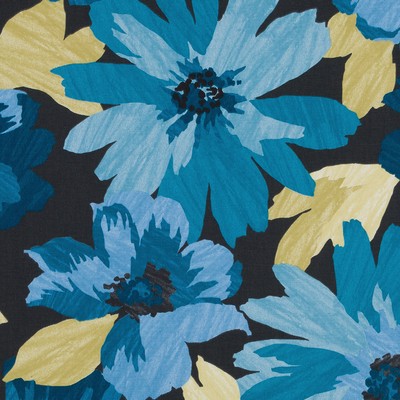 Robert Allen KOBILA DEEP POOL