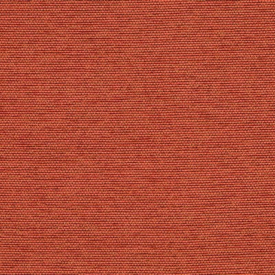 Robert Allen AERIAL ROW PERSIMMON