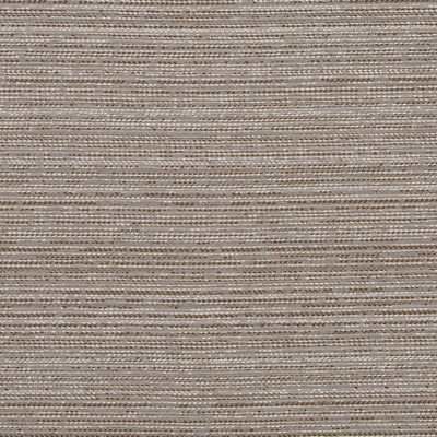 Robert Allen DOODLE DANCE TAUPE