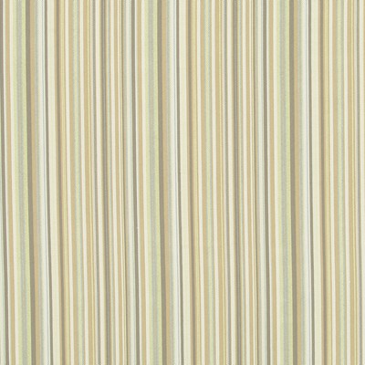 Robert Allen TAILORED EDGE CITRON