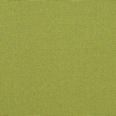 Robert Allen PERIMETER LIME