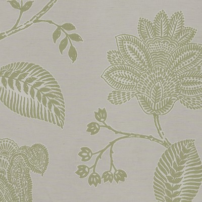 Robert Allen NAVINA LETTUCE