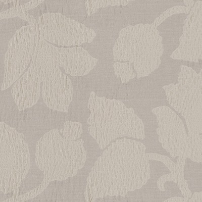 Robert Allen BIOPHILIA OYSTER