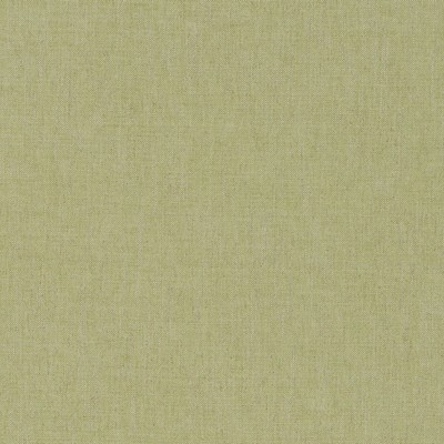 Robert Allen LINEN CANVAS LETTUCE