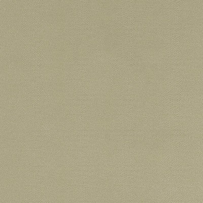 Robert Allen GLOSSY SLITHER OYSTER