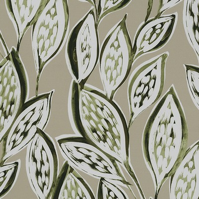 Robert Allen LEAF THROUGH OYSTER