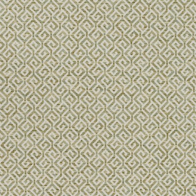 Robert Allen MOTTLED MAZE LETTUCE