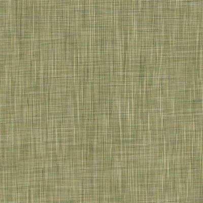 Robert Allen PRIATTA LETTUCE